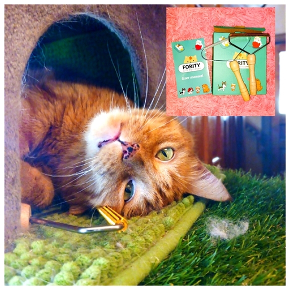 FORITY Lint Remover Set of 2 Fuzz Fabric Removing Roller Brush Shaver Tool NEW - Picture 1 of 11